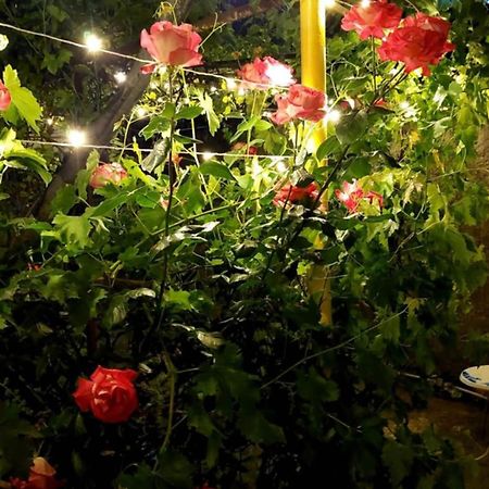 Guesthouse "Door" In Sighnaghi Bagian luar foto
