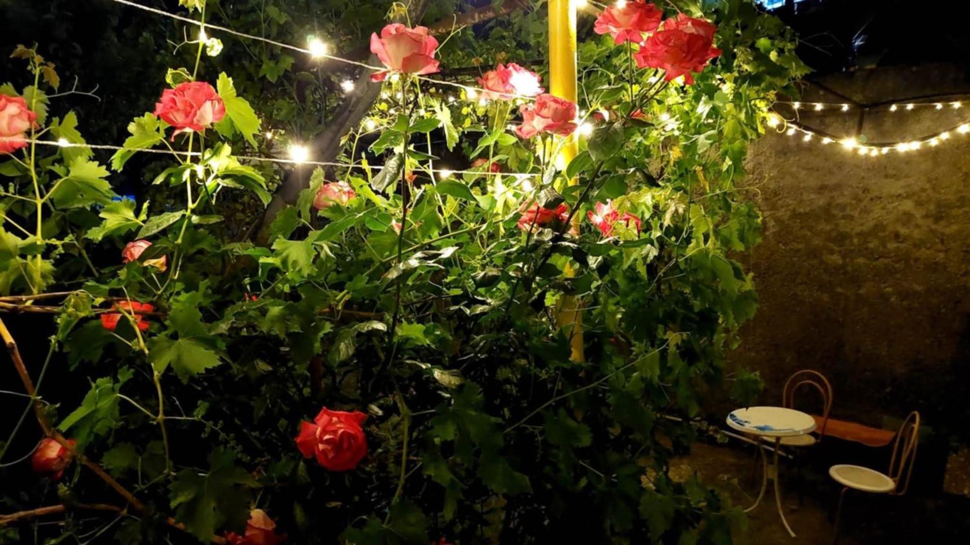 Guesthouse "Door" In Sighnaghi Bagian luar foto