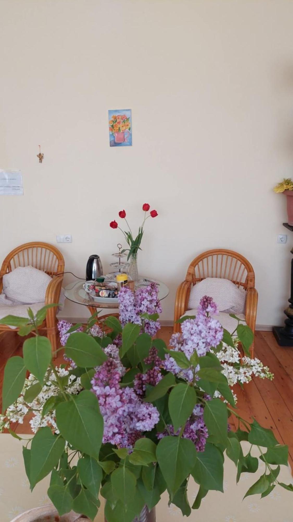 Guesthouse "Door" In Sighnaghi Bagian luar foto