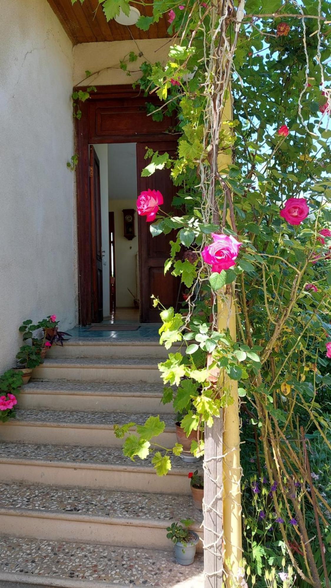 Guesthouse "Door" In Sighnaghi Bagian luar foto